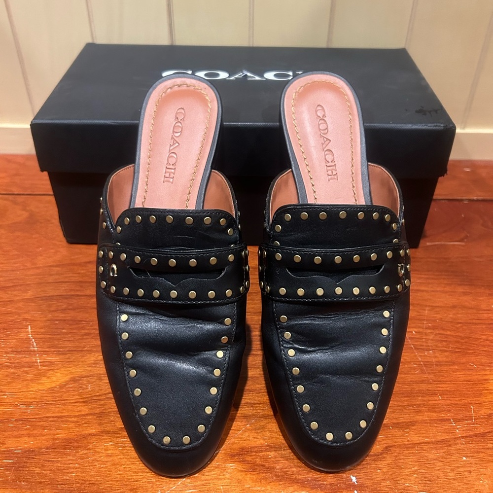 🐸Coach Faye Loafer Slide size 7